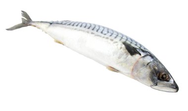 dondurulmuş balık beyaz arka plan üzerinde izole