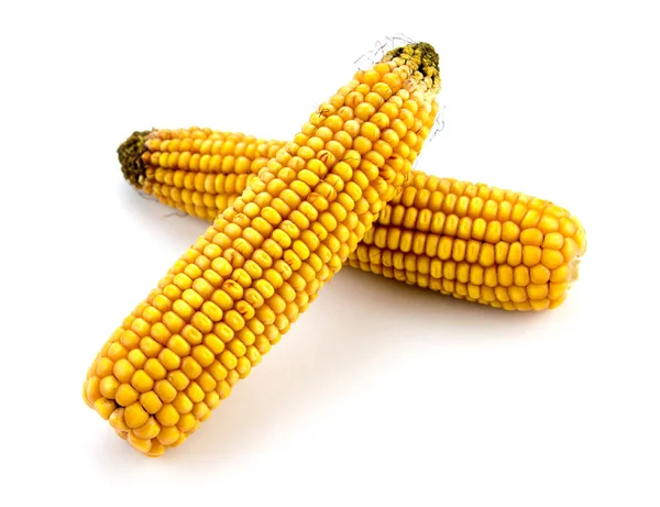 Кукурузный початок на белом фоне — стоковое фото