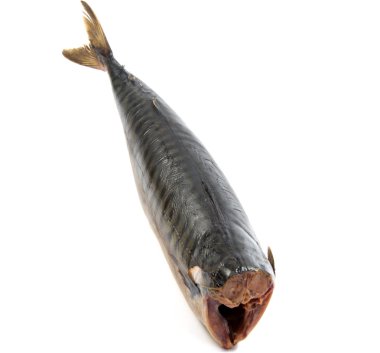 Tütsülenmiş uskumru beyaz arkaplanda izole edildi