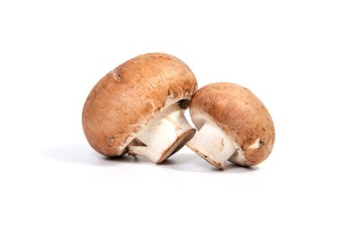 Beyaz arka plan üzerinde izole Champignon mantar ayarla.
