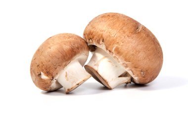 Beyaz arka plan üzerinde izole Champignon mantar ayarla.