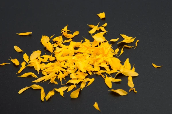 Lindas flores de margarida isoladas no fundo marrom — Fotografia de Stock