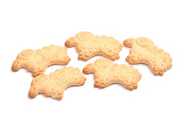 Tuzlu kraker üzerinde beyaz bitti izole