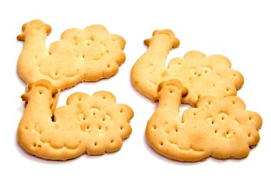 alted kraker üzerinde beyaz bitti izole