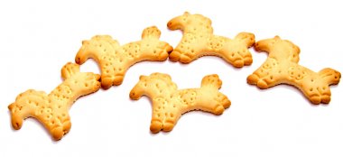 alted kraker üzerinde beyaz bitti izole