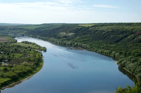 Storks fly over the river a panorama of the mouth — Stock Photo, Image