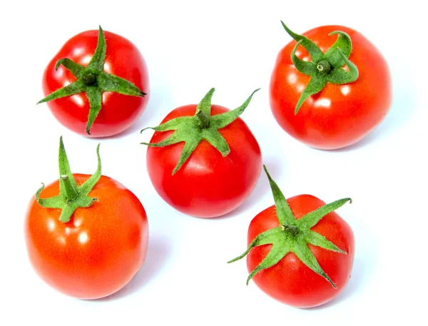 Tomates rojos aislados sobre fondo blanco — Foto de Stock