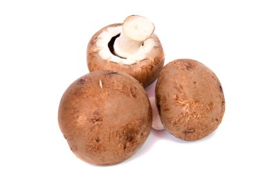 Beyaz izole Champignon mantar ayarla