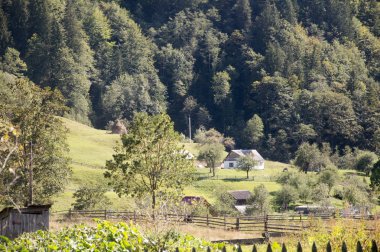 Yeşil tepeleri ve ahşap çitleri olan Karpat Dağları yaz manzarası, klasik hipster inanılmaz bir arka plan.