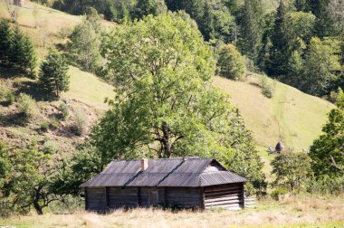 Yeşil tepeleri ve ahşap çitleri olan Karpat Dağları yaz manzarası, klasik hipster inanılmaz bir arka plan.