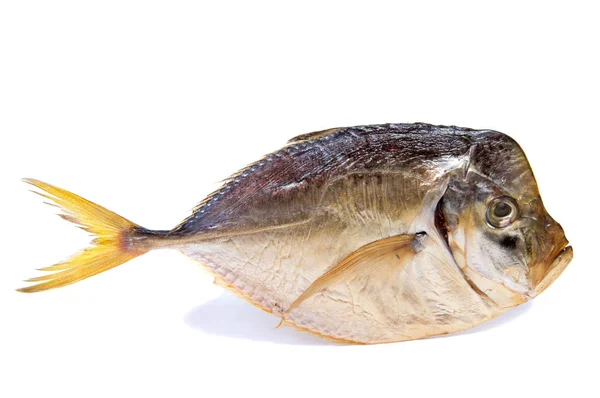 Trockener Fisch Isoliert Auf Weißem Hintergrund Horizontales Foto — Stockfoto