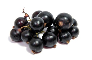Siyah frenk üzümü çilek. Demet yaprak beyaz arka plan üzerinde izole Siyah frenk üzümü meyve