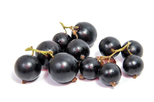 Owoce Czarnej Porzeczki Kilka Owoców Czarnej Porzeczki Liść Białym Tle — Zdjęcie stockowe