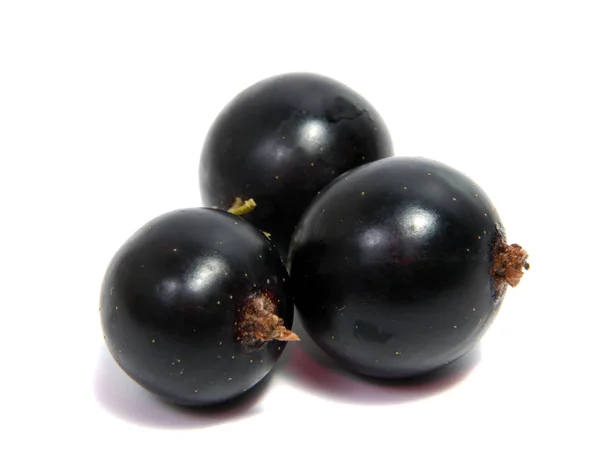 Schwarze Johannisbeeren Bund Schwarze Johannisbeeren Mit Blatt Isoliert Auf Weißem — Stockfoto