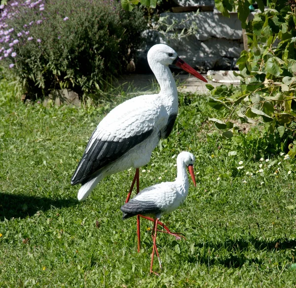 Morgenspaziergang Der Störche Stadtpark Storch Trifft Dich Park — Stockfoto