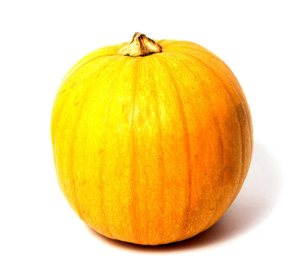 Fresh orange pumpkin isolated on white background. . — Stock Photo, Image