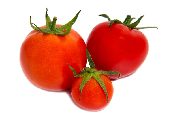 Tomates Rojos Aislados Sobre Fondo Blanco — Foto de Stock