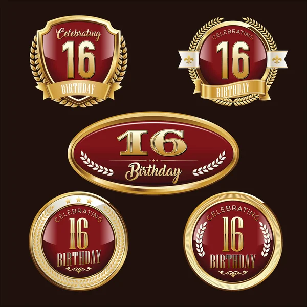 Aniversario Insignia Set Lujo 16º Aniversario — Vector de stock