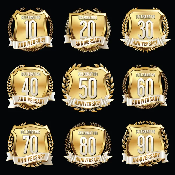 Colección Aniversario Set Premium — Vector de stock