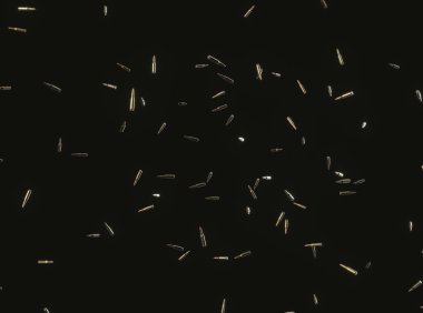 Floating Rifle Bullets on Black Background clipart