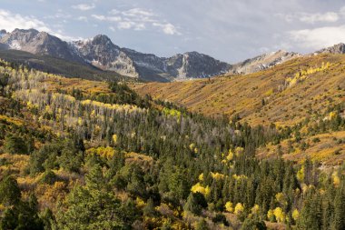 Renkli Colorado sonbahar 