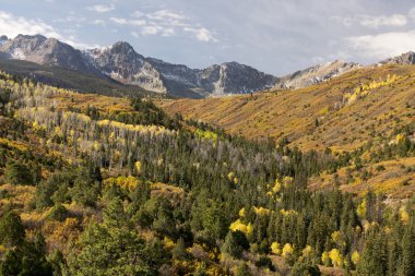 Colorful Colorado Autumn  clipart