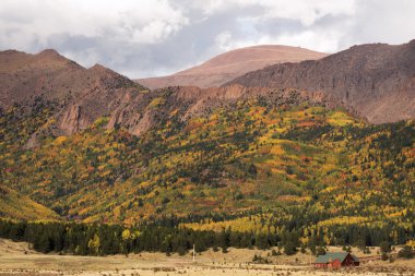 Renkli Colorado sonbahar