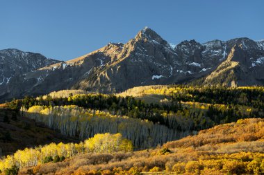 Renkli Colorado sonbahar
