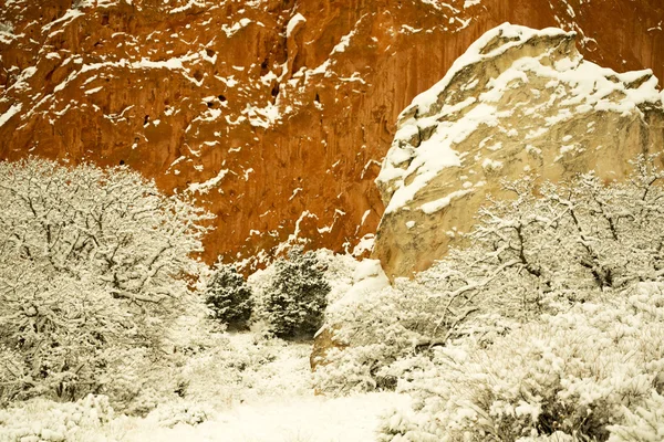 Neve no Jardim dos Deuses — Fotografia de Stock