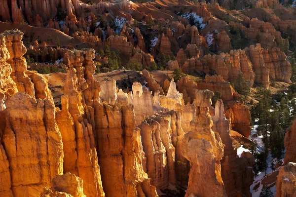 Hajnali fény Bryce Canyon National Park — Stock Fotó