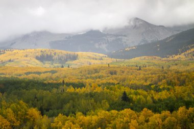 Renkli Colorado sonbahar