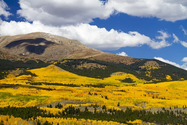 Colorado Outono em Mt. Elbert... — Fotografia de Stock