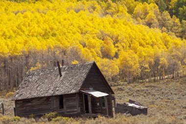 Rustic Colorado Cabin clipart