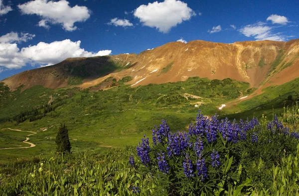 Mt. Calvo cerca de Crested Butte, CO —  Fotos de Stock