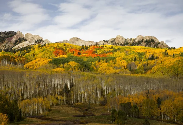 Herbst am Kebler-Pass im Kolorado lizenzfreie Stockfotos