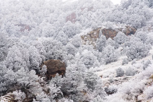 Frostiger Bergtag — Stockfoto