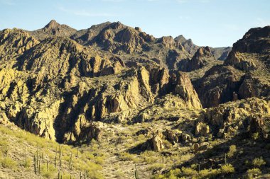 Sonoran Çölü görünümünü