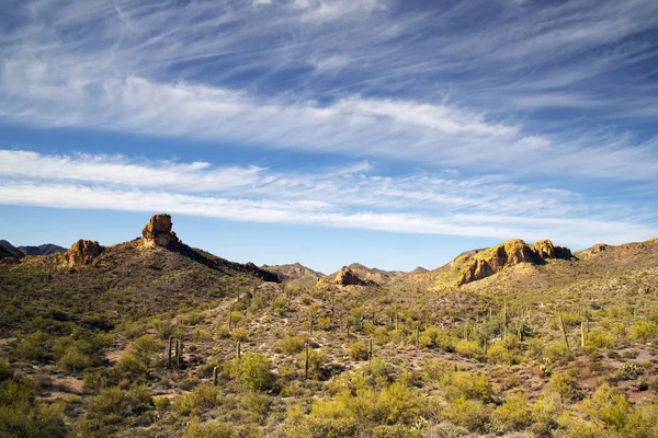 Weergave van de Sonorawoestijn — Stockfoto