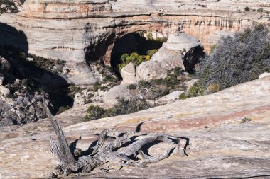 Doğal Köprüler 'deki Sipapu Köprüsü Doğal Anıt