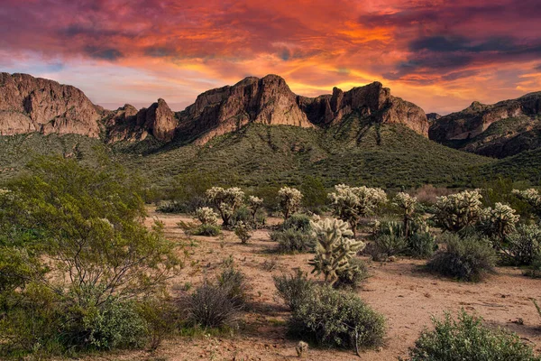 Blick Auf Den Tonto National Forest Der Nähe Von Phoenix — Stockfoto