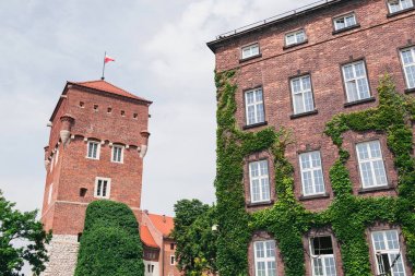 Krakow eski kasabası, Polonya