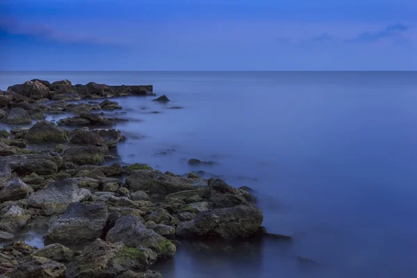 Idiot in blau — Stockfoto