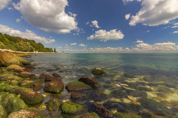 Кам'яне узбережжя з водоростями — стокове фото