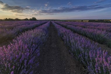  alan ile dramatik gökyüzü gün batımında