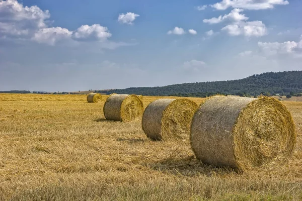 Höbalar på fältet — Stockfoto