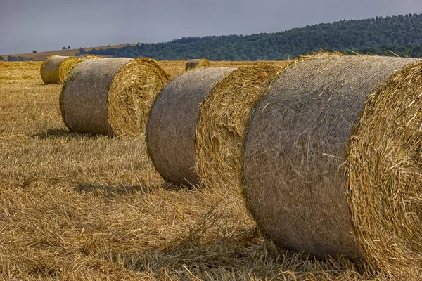 Büyük saman balya — Stok fotoğraf