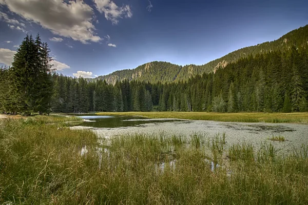 Rhodope montanhas vista — Fotografia de Stock