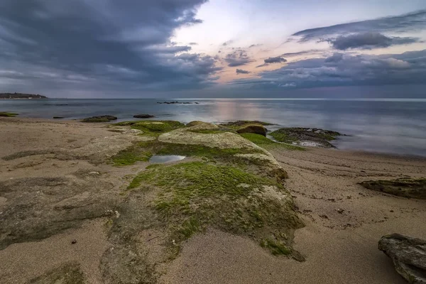 Sea rocks with algae — Stock Photo, Image