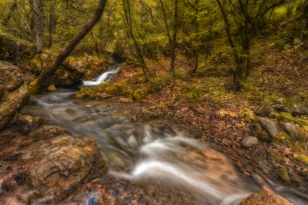 Fluss und bunte Bäume — Stockfoto