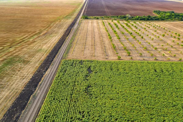 Kırsal manzara — Stok fotoğraf